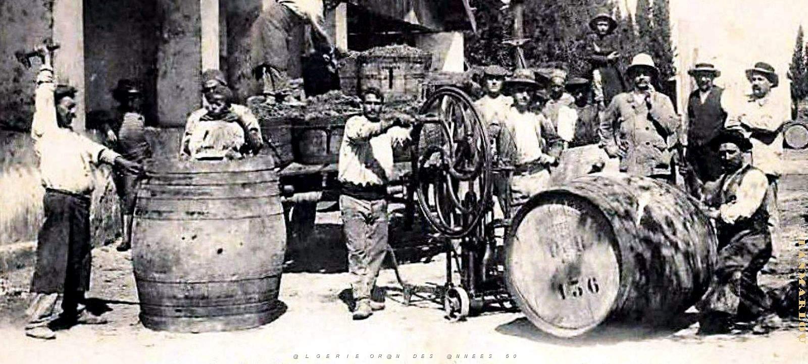 2275- Lourmel - Etablissement Perier Botta2.jpg